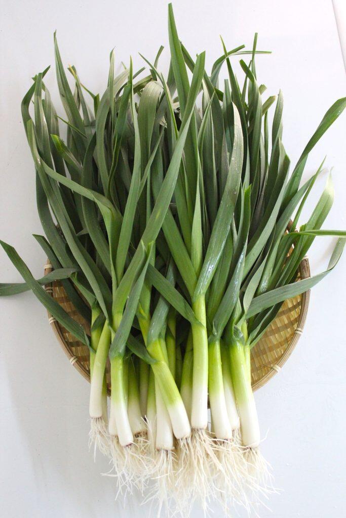 自社農園で育てる葉にんにく