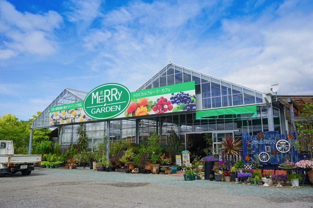 「岡宗農園」で栽培している小夏の品種は、3月～4月にかけて収穫する