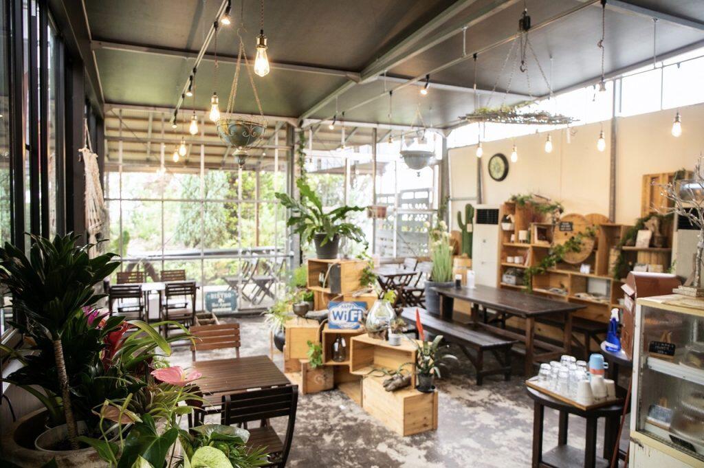 直売所である「メリーガーデン」（安芸市川北甲6951）でも、季節の果物や多彩な植物を販売