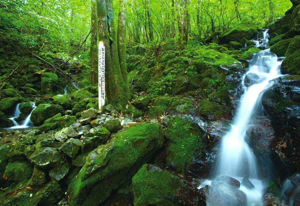 お得なキャンペーンに加え、多彩なイベントや体験プログラムも目白押し