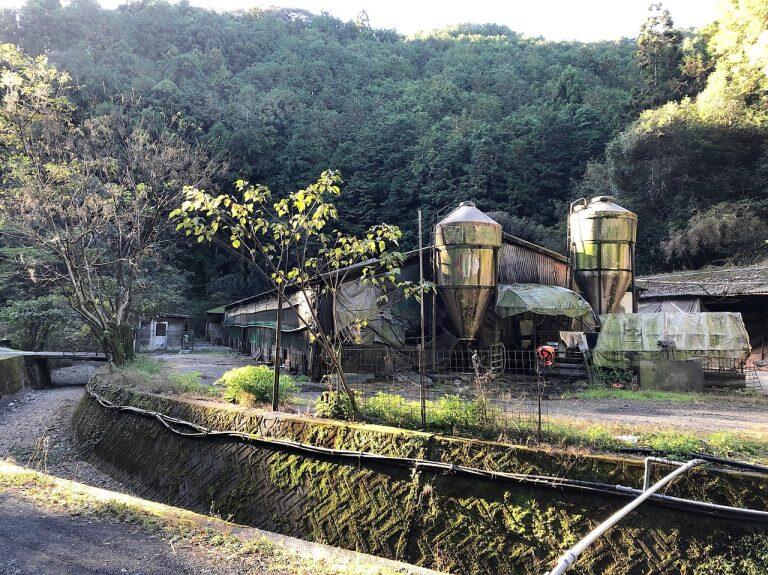 緑に囲まれた豚舎では約2000頭がすくすくと育っています。