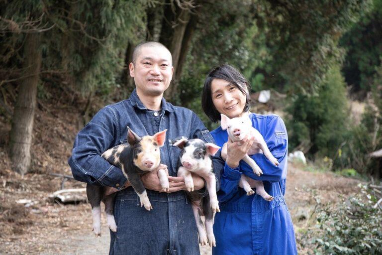 豚と誠実に向き合うことで、体調の変化にも気づけるんだそう!