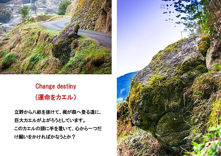 巨大なカエルが今にも道路に登ってきそうな自然な岩「運命をカエル」は、カエルの頭に手を置いて、心から祈れば願いがひとつだけ叶うんだとか!?