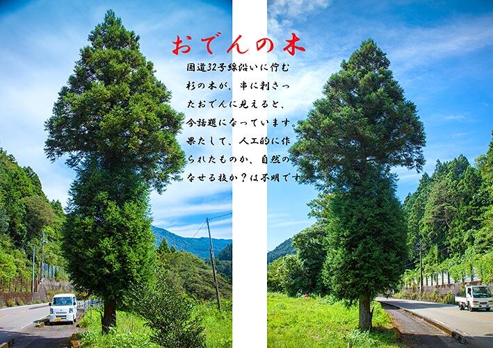 まるで串にたまごとこんにゃくが刺さっているように見える「おでんの木」
