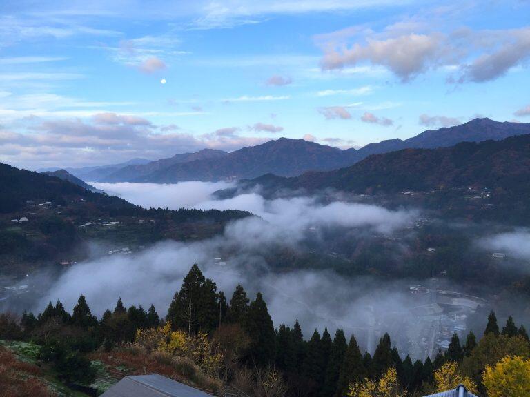 「大豊ゆとりファーム」は、過疎や高齢化による担い手不足や労働力の低下から農地及び地域を守るため、平成8年(1996)に第3セクターの株式会社として設立しました。