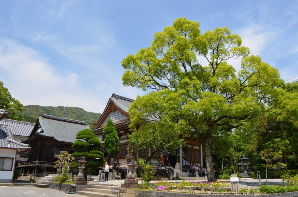 第30番札所 善楽寺