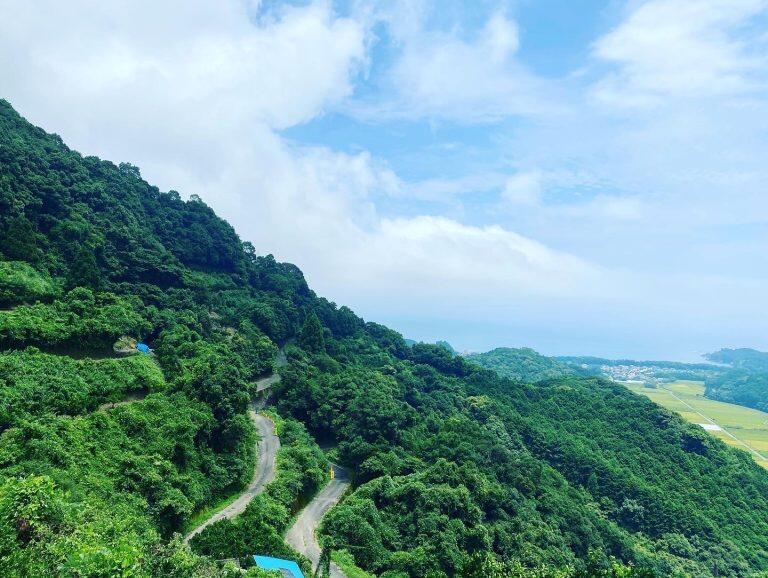 太平洋から爽やかな潮風が吹き抜ける高台で、ぽんかんを栽培している「フクチャンFARM」