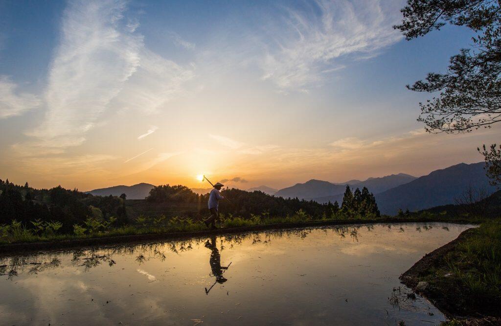 吉野川源流に広がる豊かな棚田