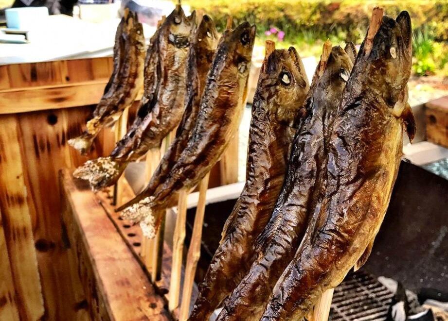 アウトドア・生活文化・食をテーマとした嶺北地域の博覧会！