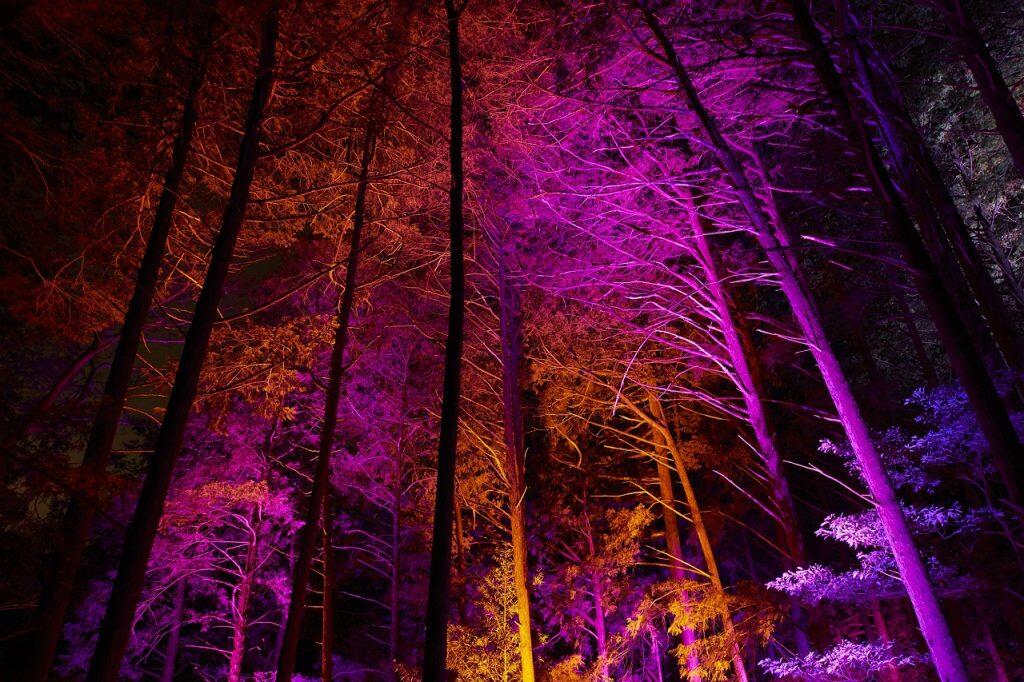 11月2日(土)〜4日(月)18時~21時には、ハンドライトを持ち、五感をフルに使って洞内を探検する「龍河洞ナイト」