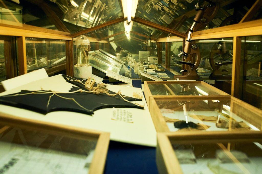 「龍河洞」生成についての解明や洞内生息動物の生態研究、弥生人穴居生活の遺産などを展示した「龍河洞博物館」