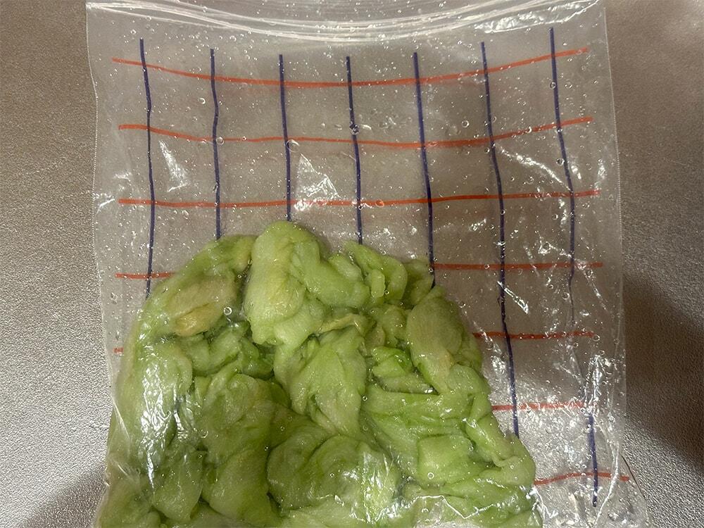 保存袋内にリュウキュウを入れる