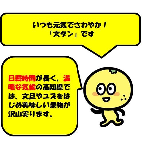佐川町で幅広い事業を展開している「島崎商事」が、栽培・収穫・製造・販売までを手掛けている、絶品「ブルーベリージャム」をご紹介