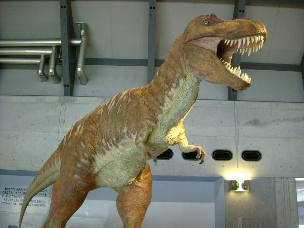 館内のエントランスホールでは巨大なティラノサウルスがお出迎えしてくれます。