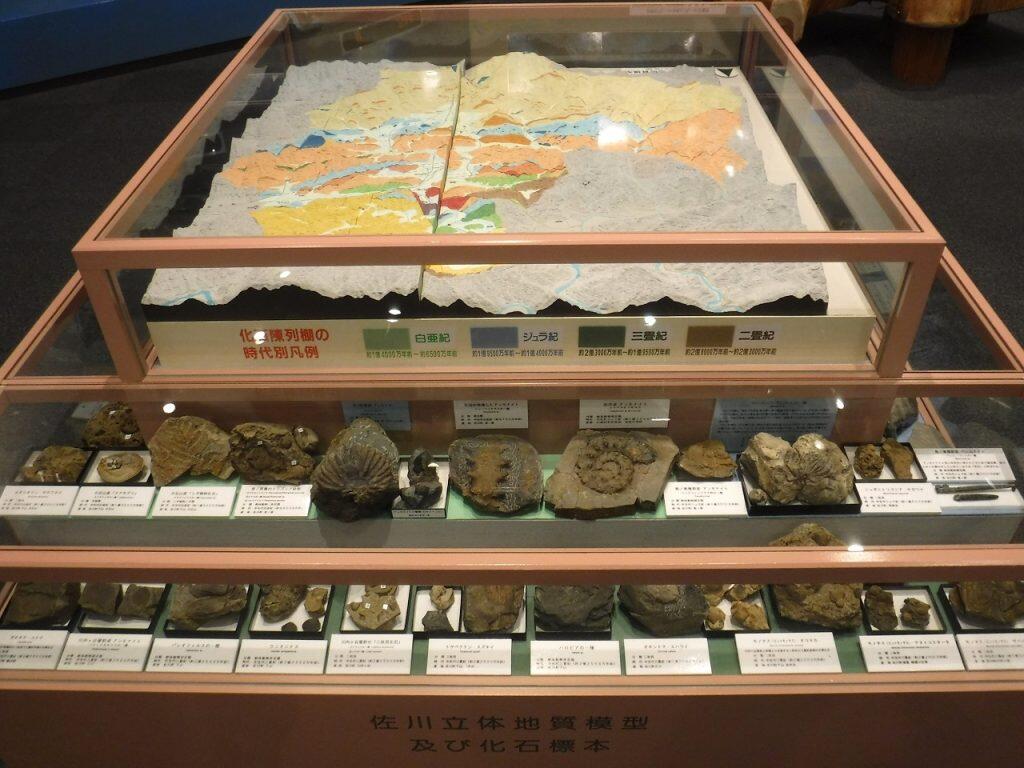 日本列島の成り立ちや佐川盆地の地質の特徴などを紹介するジオファンタジック・ルーム