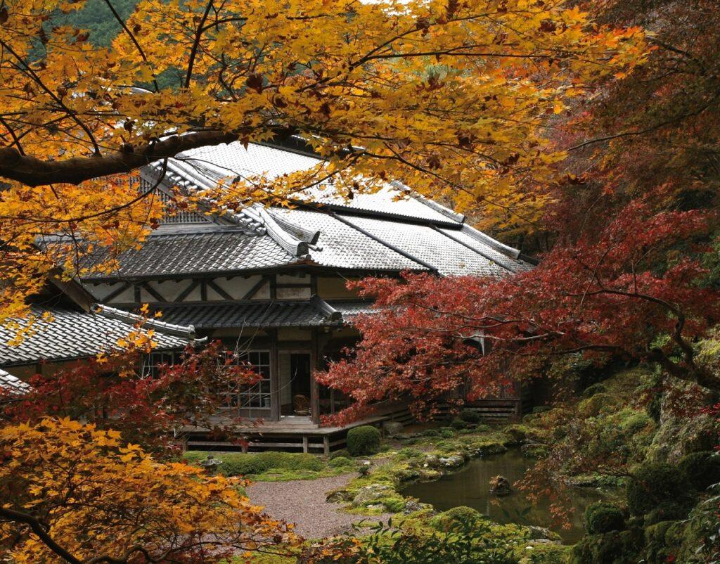 深尾家の菩提寺として慶長8年(1603)に創建された「青源寺」では、土佐三名園の1つといわれている美しい庭園が見られます。現在、上町地区の町歩きガイド(要予約)及び、音声ガイドを実施中。