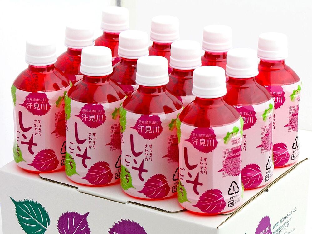 段ボール箱の上に「すっきりさわやか しそごこち」を12本並べた写真/さめうらフーズ