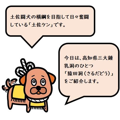 「猿田洞」は本洞、支洞を合わせると全長約1420mの3層に分かれている石灰洞