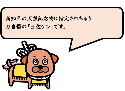 海と自然のアドベンチャーミュージアム「足摺海洋館 SATOUMI」