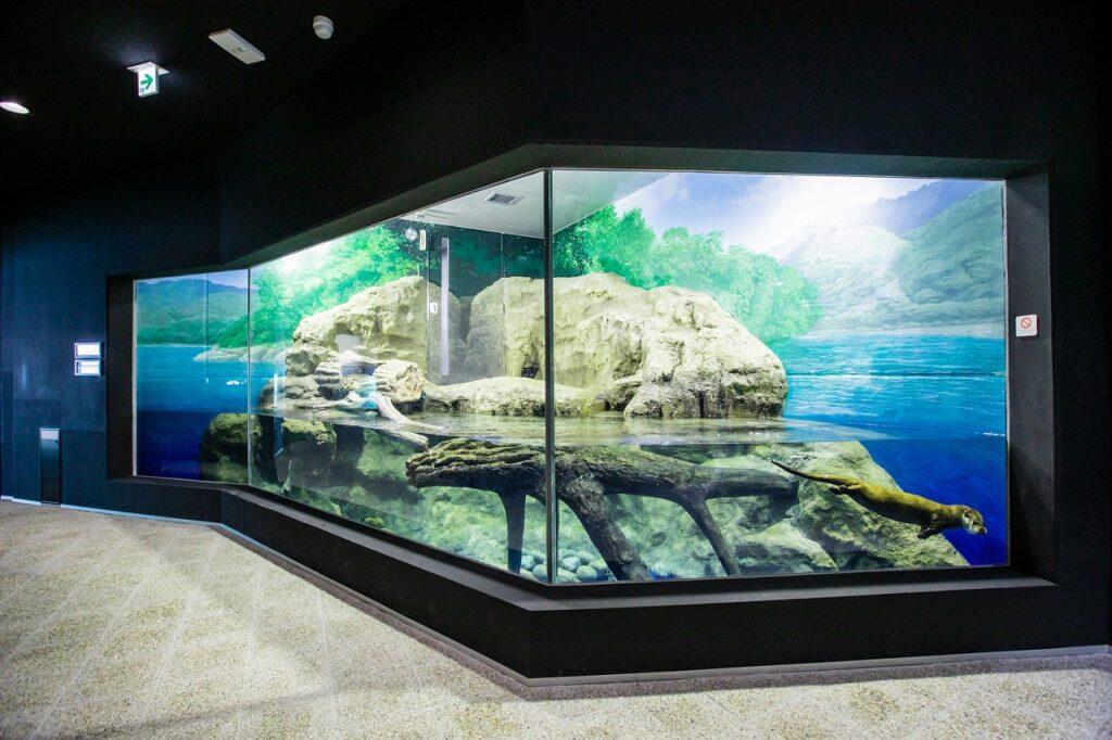 竜串湾の美しい海中の光景が広がる癒しの空間