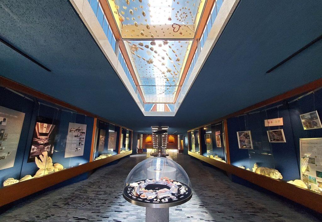 色彩豊かな貝やモダン建築が楽しめる貝類展示館「海のギャラリー」