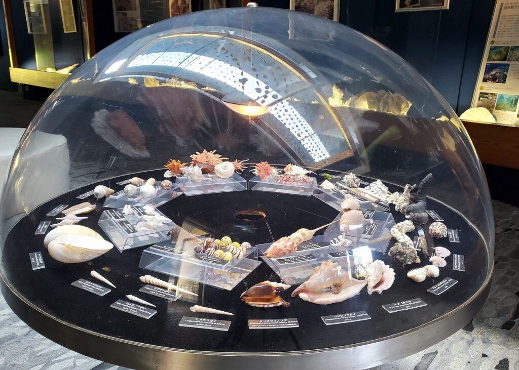 オオシャコガイをモチーフにしたという折半構造の巨大な白い屋根が特徴的な「海のギャラリー」は、女性建築家のパイオニアといわれる林雅子氏による設計