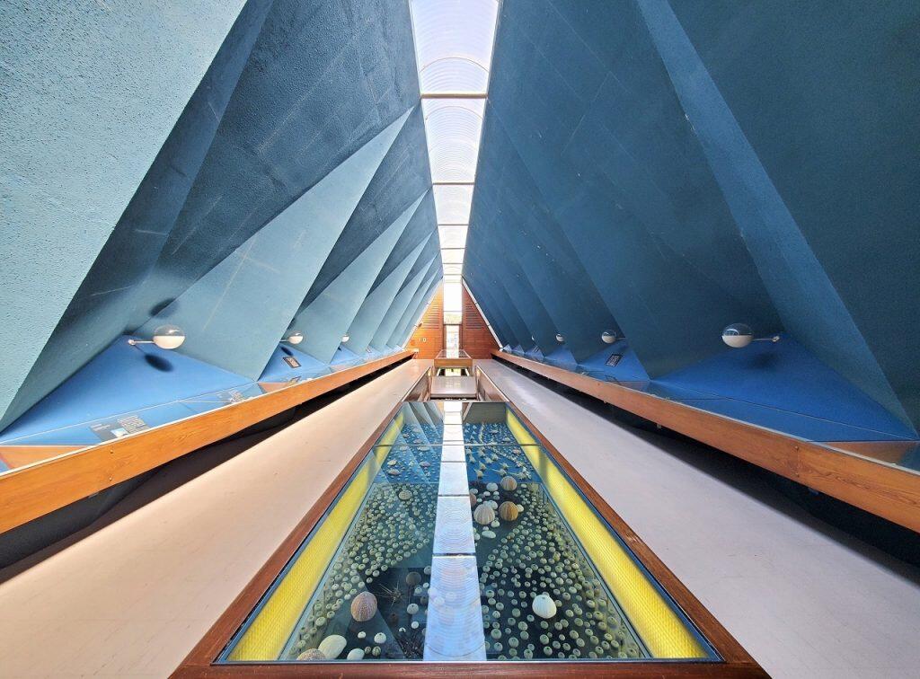 館内は深いブルーで統一され、まるで海の中にいるような世界が広がります