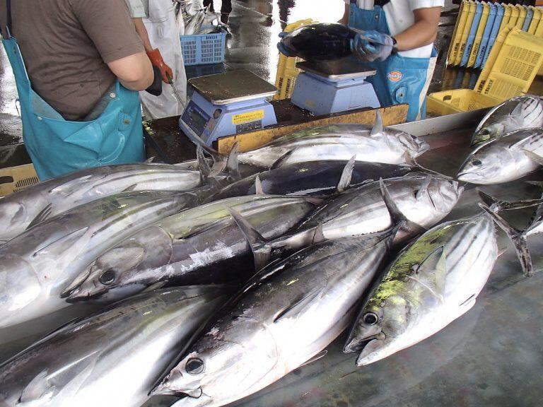 藁の香りがたまらない！「土佐沖一本釣り藁焼き鰹たたき」