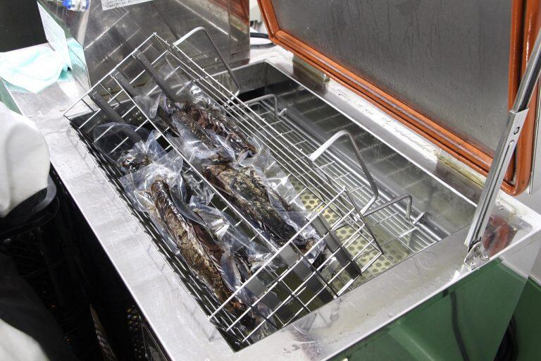 すぐに真空パック＆急速冷凍し、香りや旨みを逃しません