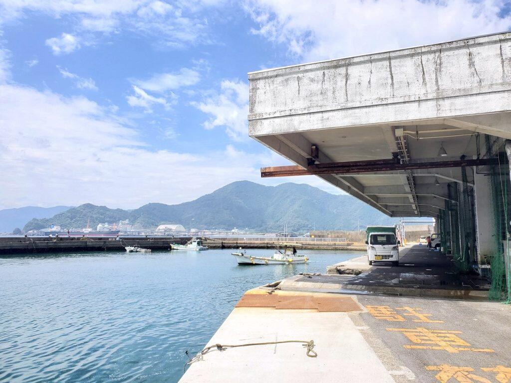 須崎魚市場のすぐ近くに店を構える「丸宮 宮本商店」