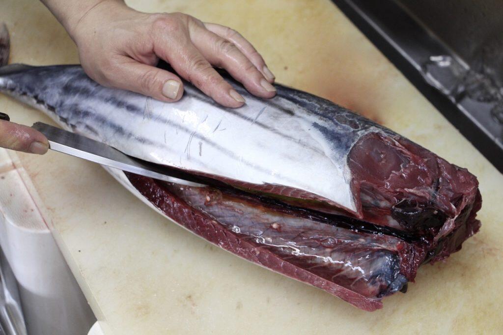 須崎近海獲れの脂乗りの良い鰹