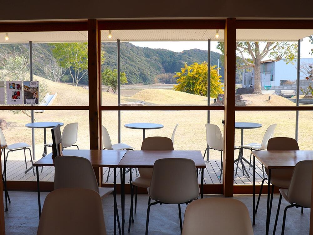 カフェスペースからドッグランエリアが見える様子