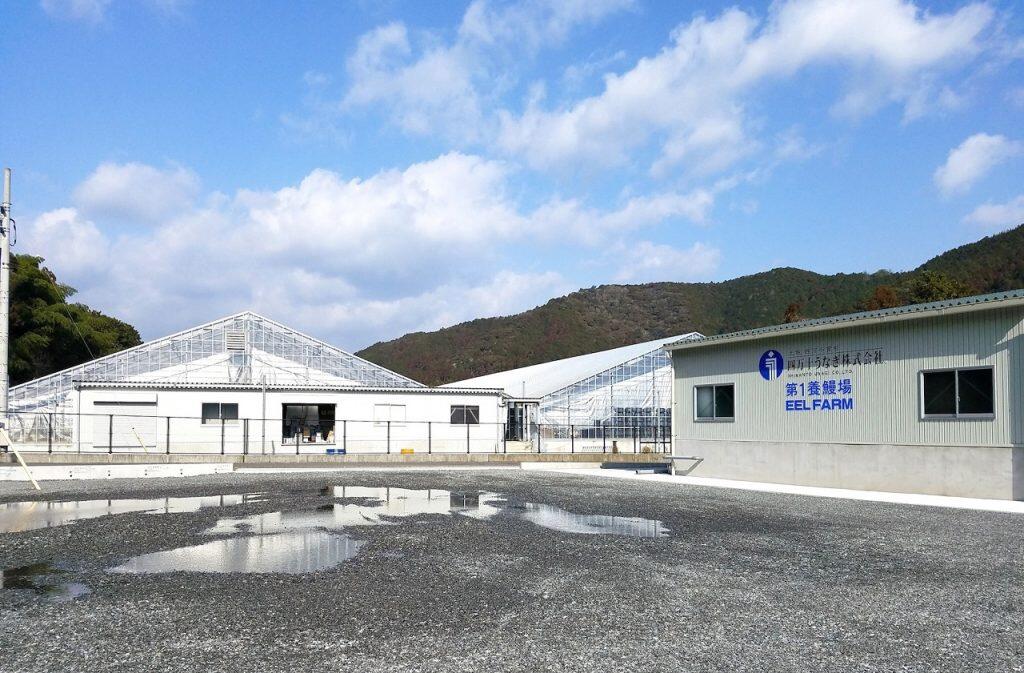 「四万十うなぎ」