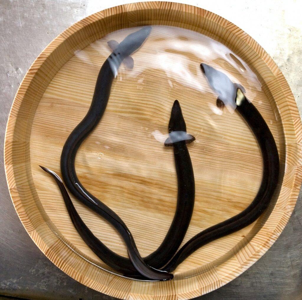 ほど良く脂がのり、身の柔らかなウナギ