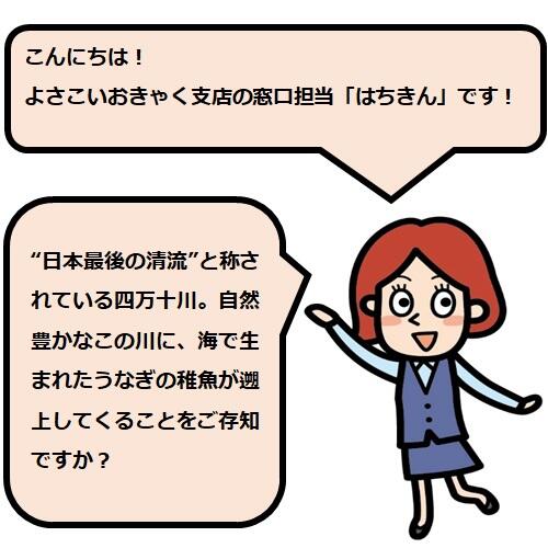 食べ方いろいろ♪「四万十うなぎ」であなたも通に...?!