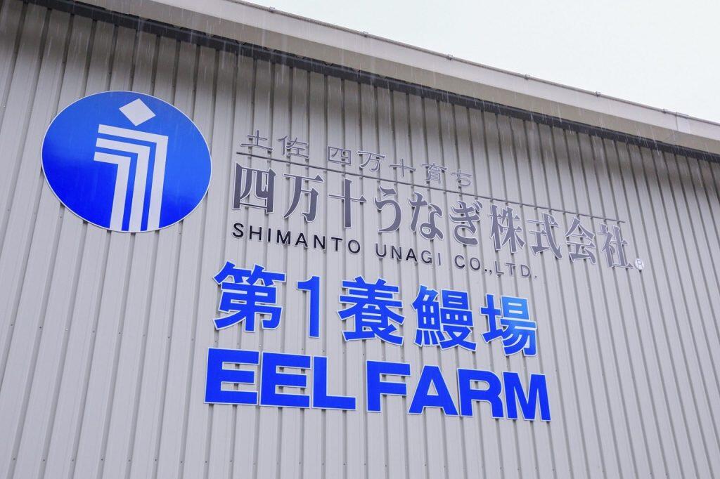 「四万十うなぎ」は、四万十川河口で稚魚を採捕し、大切に育てた自慢のうなぎを提供しています