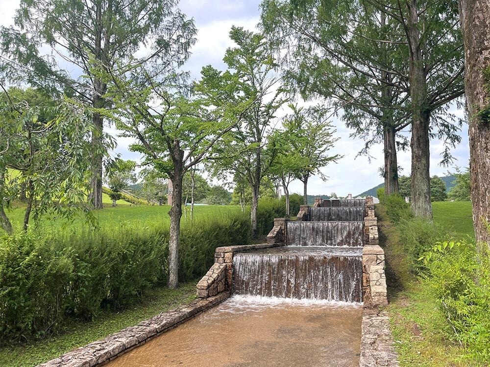 四万十緑林公園（園内の小川）