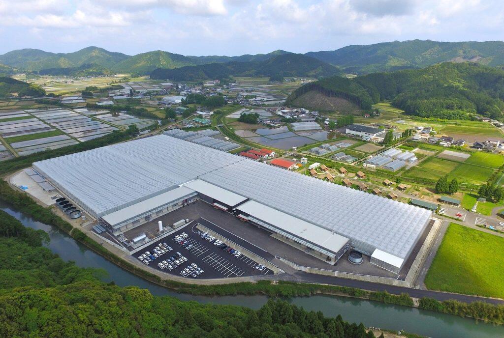 「四万十とまと」があるのは、標高約200mの高原大地