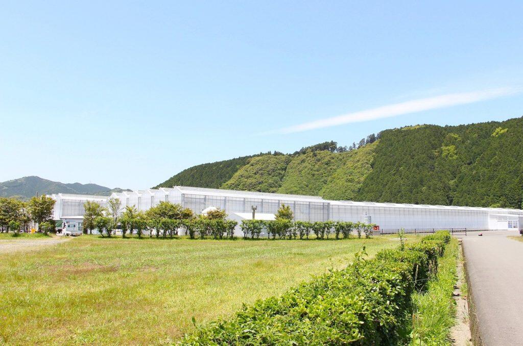 澄んだ空気が心地よく、遠くの山々がきれいに見渡せる緑に囲まれた自然豊かな場所