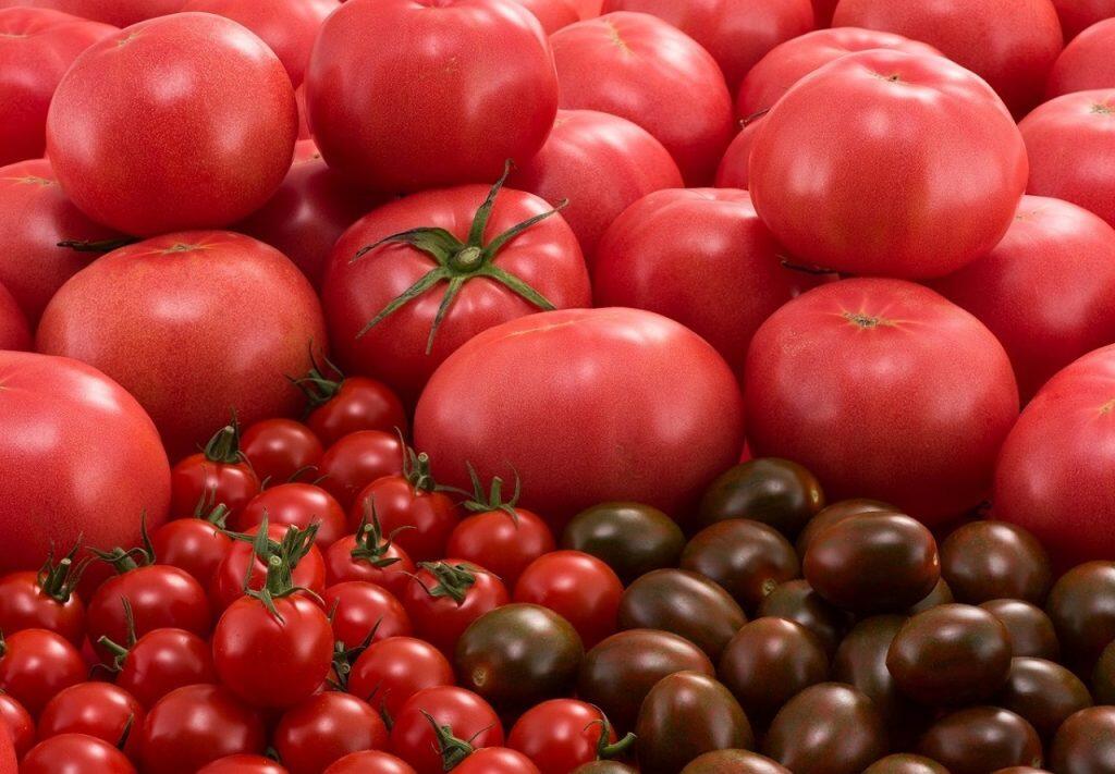 トマトの中でも人気なのが、「富丸ムーチョ」と「リッチリコピン」
