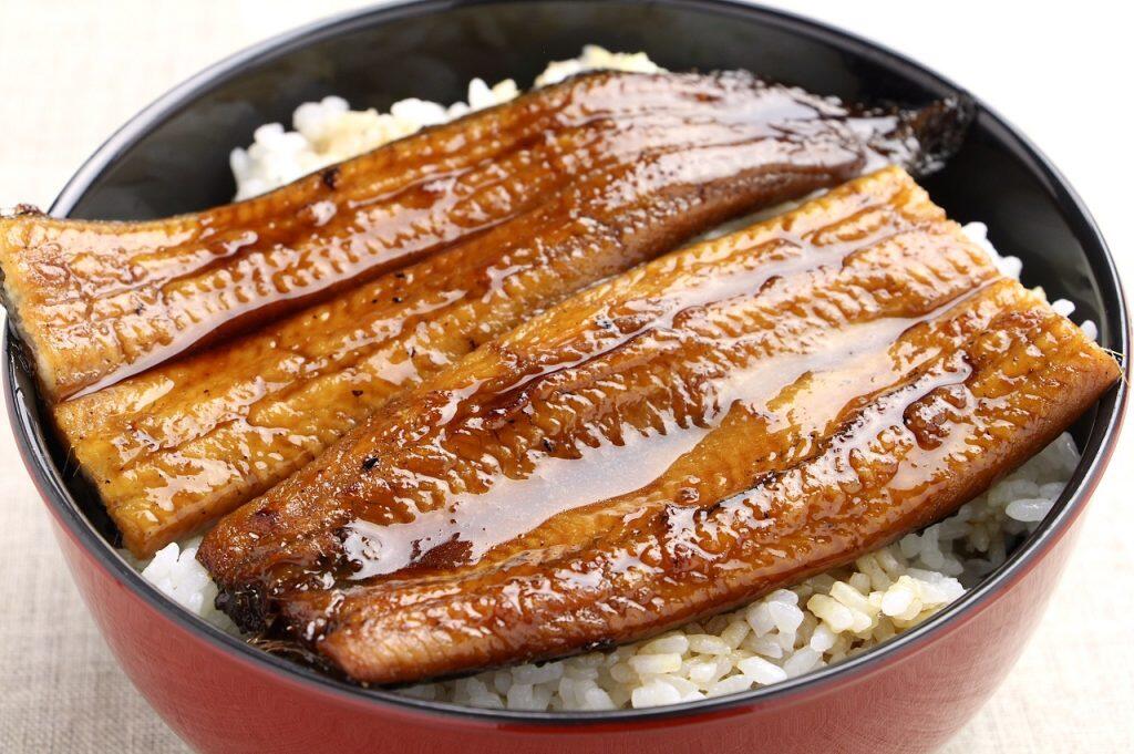 純100％高知県四万十産のうなぎでパワーチャージ♪