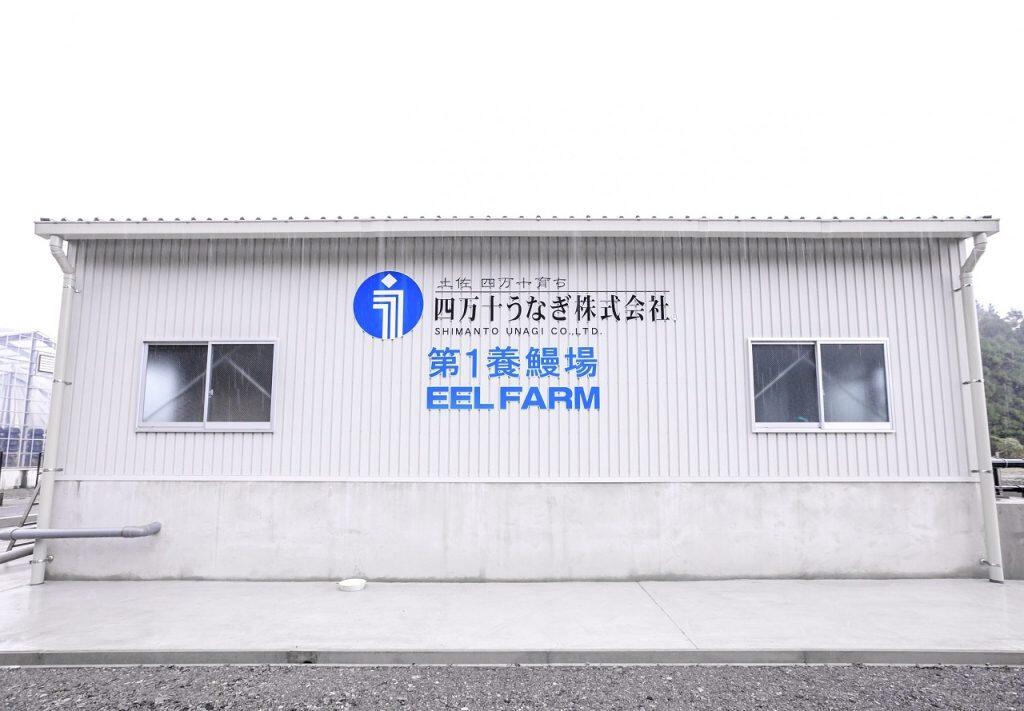 美しい水の恩恵を受けながら「四万十うなぎ」のうなぎは大切に育てられています