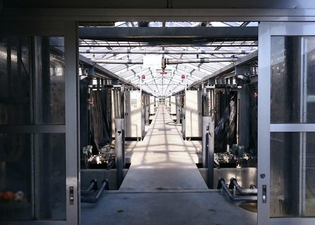 シラスウナギ(うなぎの稚魚)の採捕から養殖、加工、販売までを一貫している