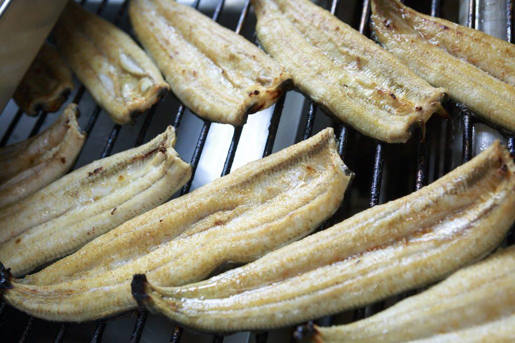 栄養たっぷりなエサを豊富に与えることで、ほどよく脂が乗った、身の柔らかいうなぎに育つ