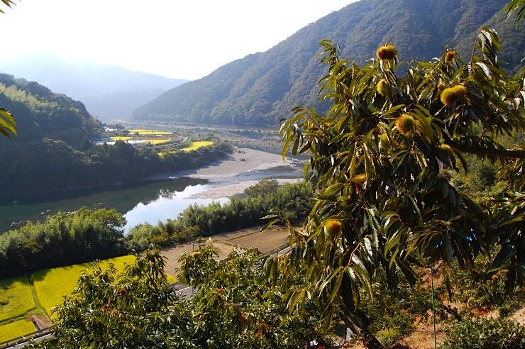 四万十の山や川