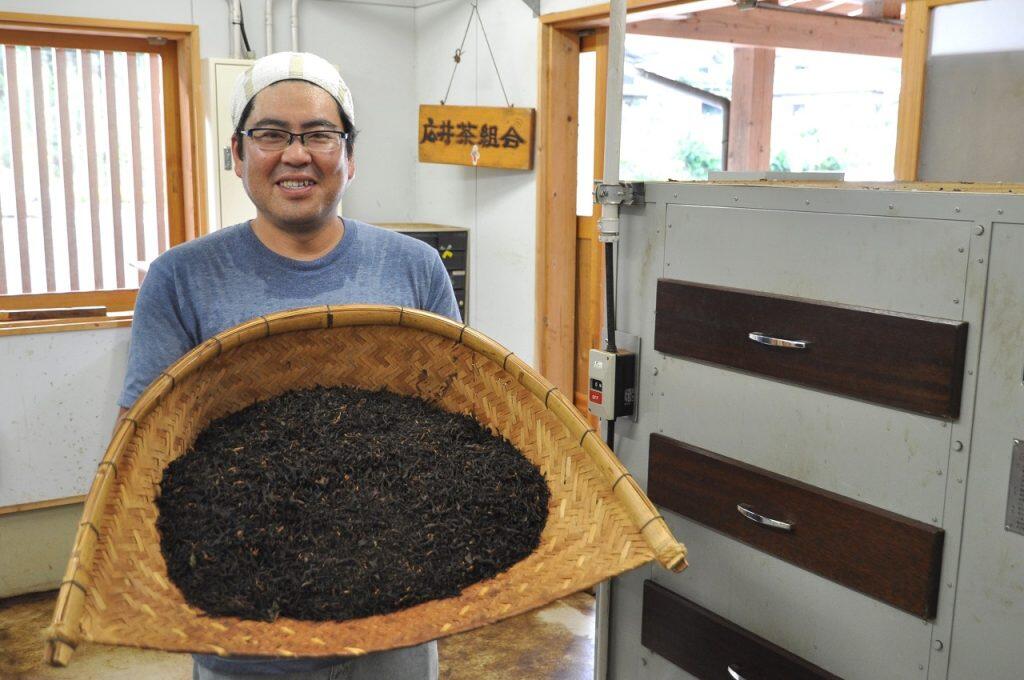 手作業で収穫するため古い茶葉が混ざらず、