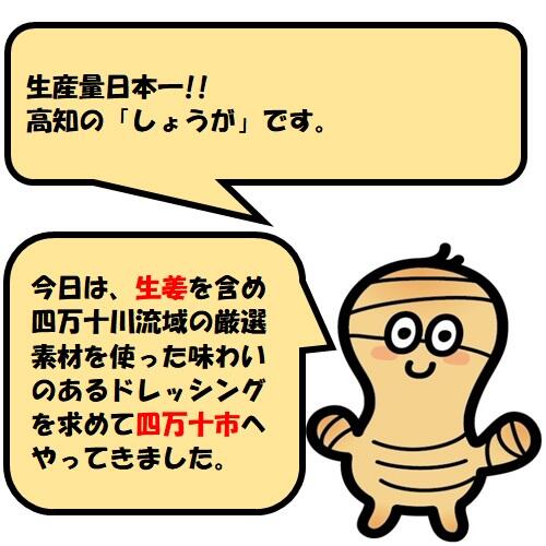 四万十育ちの美味しい野菜でつくった風味豊かなドレッシング