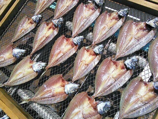 土佐湾近海で獲れるアジ・カマス・チダイ・キダイ・甘鯛などを天日で干した干物!