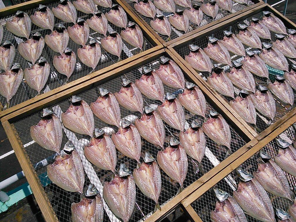 土佐湾沖で捕れた魚を、南国土佐の太陽と四万十川から流れ込む風の力で美味しく干し上げています。