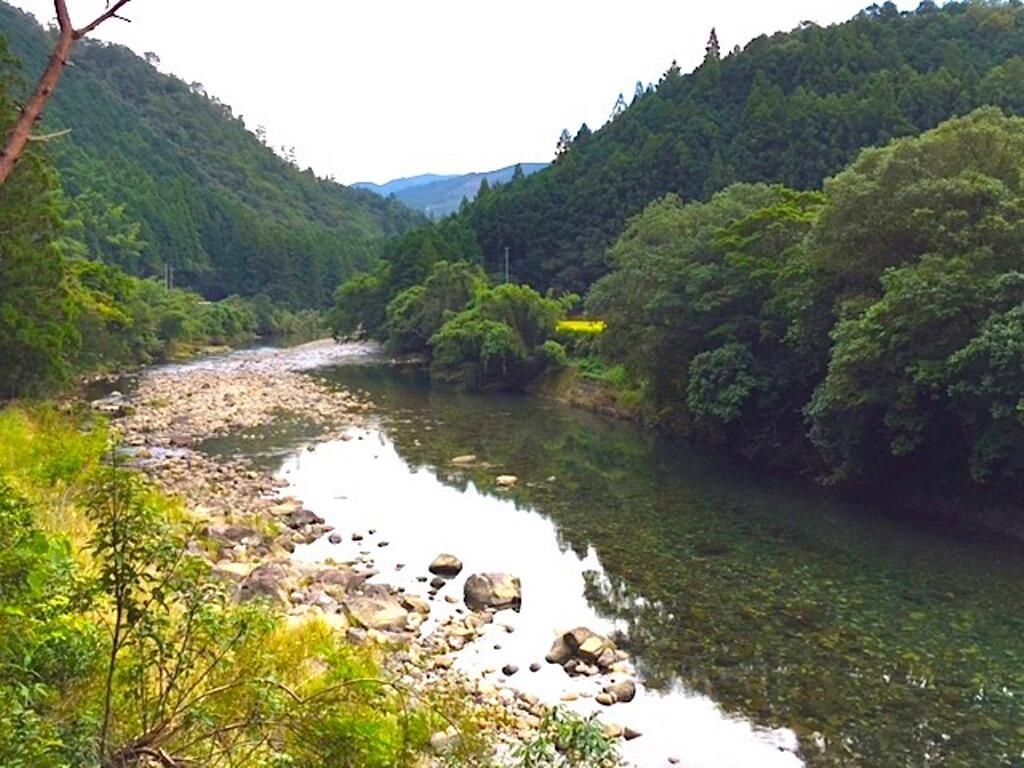 「山間屋」イチオシの「山間米」は、清流四万十川に流れ込む、5つの支流(黒尊川・目黒川・藤ノ川川・広見川・江川川)の谷水で特別栽培されているヒノヒカリ。この流域の水は、深い山あいを縫うように流れ山の斜面に作られた田んぼに引き込まれます。